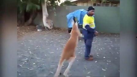 狠狠干爰射在线观看,一场激情燃烧的视觉盛宴 第3张 狠狠干爰射在线观看,一场激情燃烧的视觉盛宴 第3张