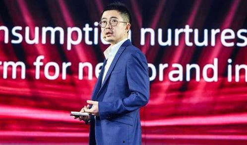 阿里和蒋凡最新爆料视频,揭秘与马云的冲突与真相  第2张